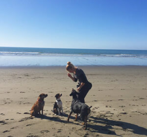 Nicole's pet journey - dog training on the beach